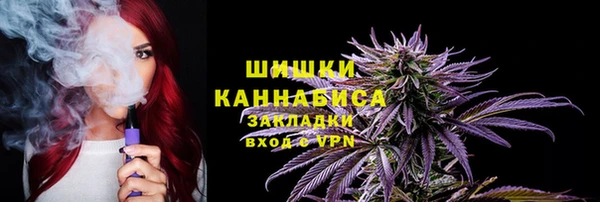 дживик Аркадак