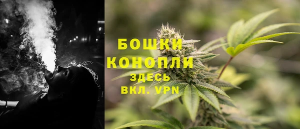 дживик Аркадак