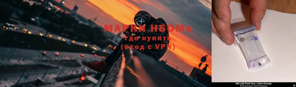 дживик Аркадак