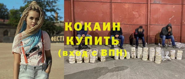 шишки Армянск