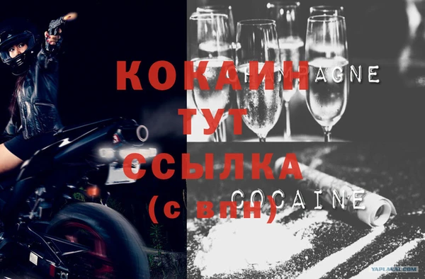 шишки Армянск