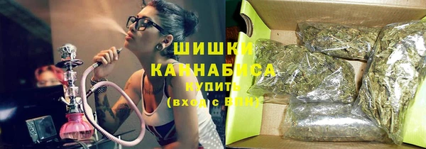 шишки Армянск