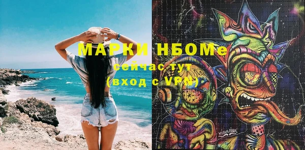 apvp Каменка